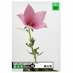 【クリックでお店のこの商品のページへ】＂Photobit(フォトビット)＂ Vol.18 秋の花
