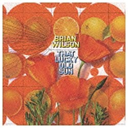 ブライアン・ウィルソン／ラッキー・オールド・サン 【CD】