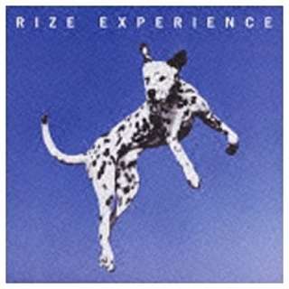 RIZE/EXPERIENCE ʏ yCDz