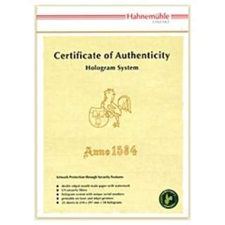 iؖzOVXe Certificate of Authenticity (A4TCYE25) 430454