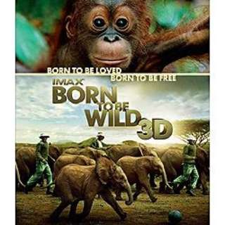IMAXF Born To Be Wild 3D -쐶ɐ- yu[C \tgz
