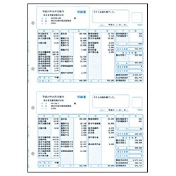 給与・賞与明細書 明細型 （500枚） SR210 ソリマチ｜sorimachi 通販