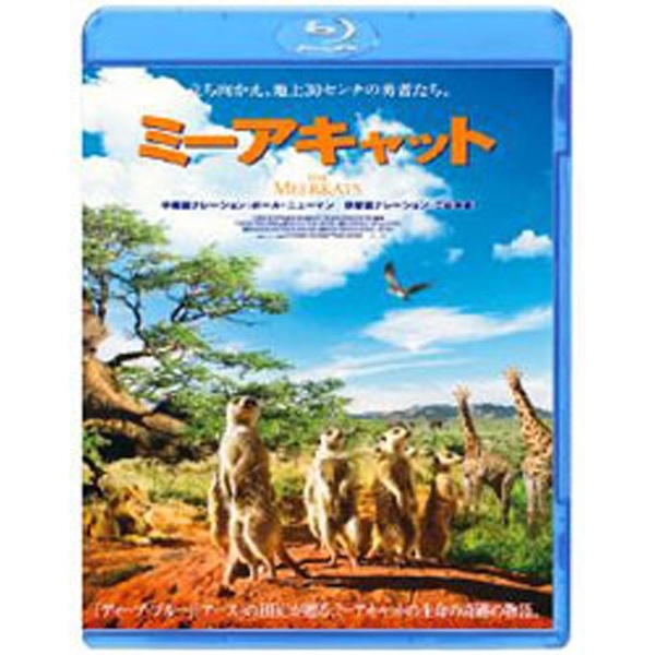 ミーアキャット 日本正規品 Blu-ray 感謝価格 ブルーレイ ソフト