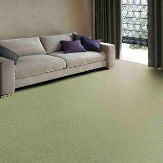 地毯家外壳(6张榻榻米/261×352cm/绿色)