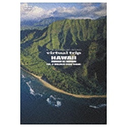 virtual trip HAWAII 空撮 VOL.2 美品 KAUAI DVD MOLOKAI 安心の実績 高価 買取 強化中 MAUI