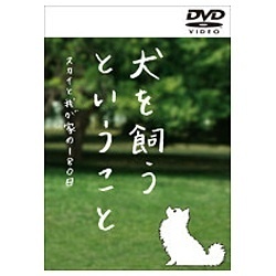 錦戸亮 主演　犬を飼うということ～スカイと我が家の180日～ DVD-BOX