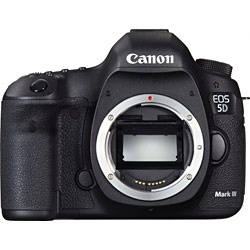 キャノン EOS 5D Mark Ⅲ ボディ デジタル一眼カメラ 6-197比較的状態のいい商品です