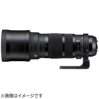 JY 120-300mm F2.8 DG OS HSM Sports ubN [jRF /Y[Y]
