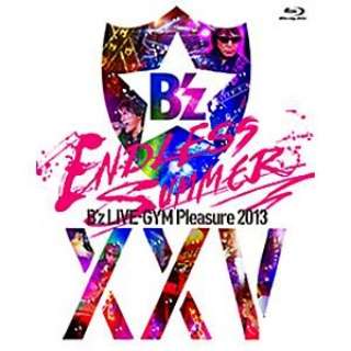 Bfz/Bfz LIVE-GYM Pleasure 2013 ENDLESS SUMMER -XXV BEST- ʏ yu[C \tgz