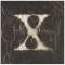 X/X SinglesiBlu-spec CD2j yCDz_1