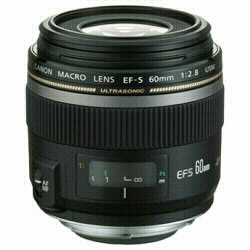 ビックカメラ.com - カメラレンズ EF-S60mm F2.8 マクロ USM APS-C用 ブラック [キヤノンEF /単焦点レンズ]