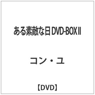 fGȓ DVD-BOX IIyDVDz