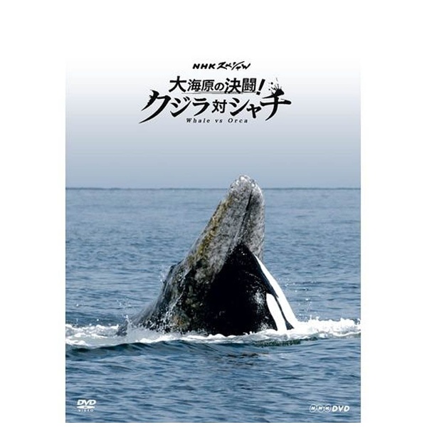 モデル着用 新作 大人気 注目アイテム NHKスペシャル 大海原の決闘 DVD クジラ対シャチ