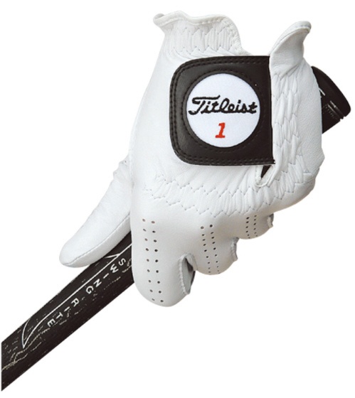 メンズ 右手用 ゴルフグローブ タイトリスト 2020 プロフェッショナル 22.0cm TG77 値引き ホワイト グローブ