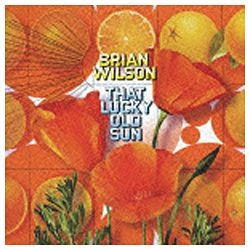 ブライアン・ウィルソン／ラッキー・オールド・サン 【CD】 EMI