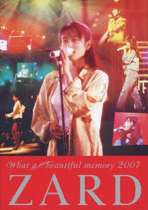 ZARD/ZARD What a beautiful memory 2007 【DVD】