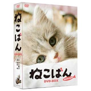 ˂΂ DVD-BOX yDVDz