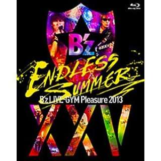 Bfz/Bfz LIVE-GYM Pleasure 2013 ENDLESS SUMMER -XXV BEST- S yu[C \tgz
