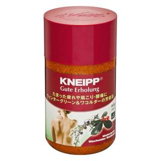 KNEIPP（クナイプ）グーテエアホールング バスソルト ウィンターグリーン&ワコルダーの香り 850g〔入浴剤〕
