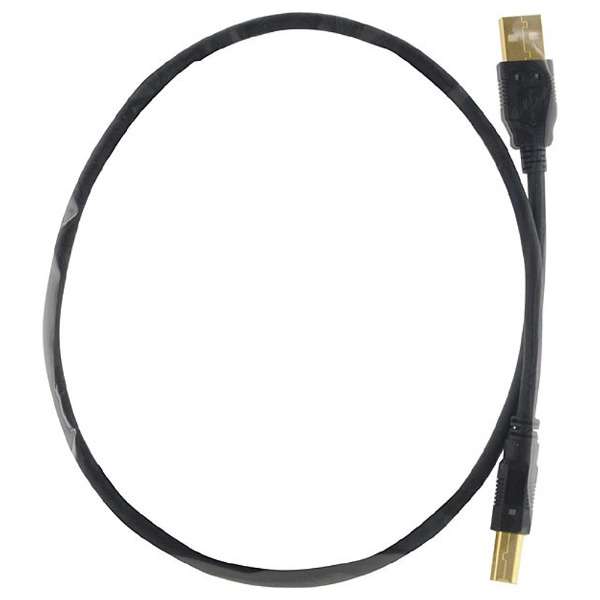 USBケーブル(A→Btype・0.6m) EVO-0508/0.6 AET｜エー・イー・ティー 通販 | ビックカメラ.com