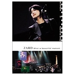 ZARD/What a beautiful moment 【DVD】