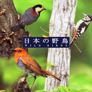 メジロ 鳴き声 セール cd