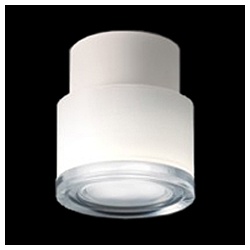 LEDH98002W-LS LEDシーリングライト T.LEDs E-CORE ホワイト [昼白色