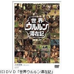 世界ウルルン滞在記 VOL.2 上地雄輔 【DVD】 東宝｜TOHO 通販 | ビックカメラ.com