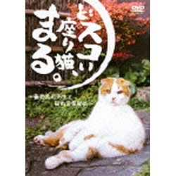 どスコい座り猫、まる。～養老孟司先生と猫の営業部長 【DVD】