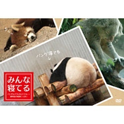 みんな寝てる パンダもゾウもカピバラも…動物達の寝顔いっぱい 【DVD】 ポニーキャニオン｜PONY CANYON 通販