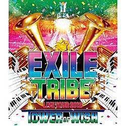 爆安 EXILE TRIBE LIVE TOUR 2012 TOWER ソフト WISH OF マート ブルーレイ 3枚組