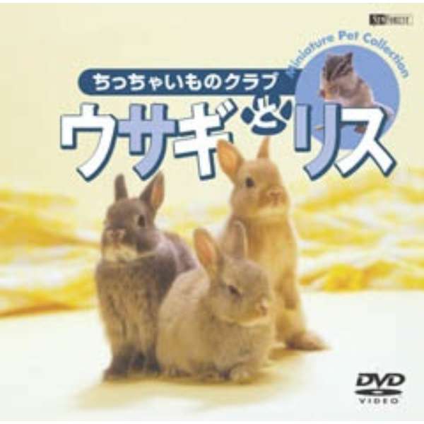 ウサギとリス ちっちゃいものクラブ仮 Dvd シンフォレスト Synforest 通販 ビックカメラ Com