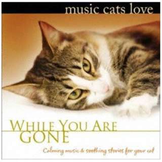 ubh[EWZt/ L̂߂̉y Music Cats Love^ȂȂƂ̂߂