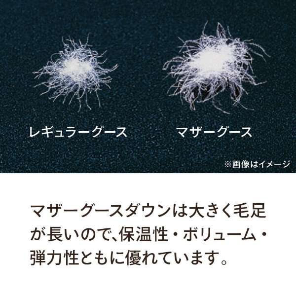 准确赊帐羽绒被"纯朴的毛被褥"XXL520-A[双(190*210cm)/春天、供使用秋天的/波兰产白头鹅降低99%/日本制造]_4
