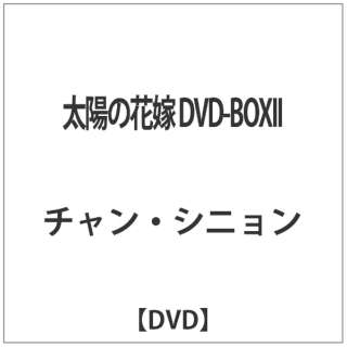 z̉ԉ DVD-BOXII yDVDz