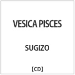SUGIZO/ VESICA PISCES