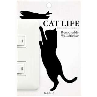 EH[XebJ[ CAT LIFE ~ WS-CAT-03