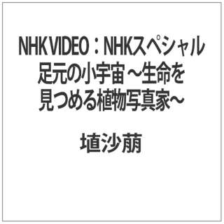 NHK VIDEOFNHKXyV ̏F `߂Aʐ^Ɓ`