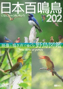 シンフォレストBlu-ray 日本百鳴鳥 202 HD ハイビジョン映像と鳴き声で愉しむ野鳥図鑑