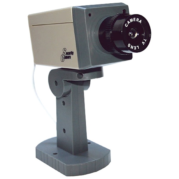 ＜ビックカメラ＞ CS-QR300 ネットワークカメラ スマカメ [有線・無線 /暗視対応 /屋外対応]
