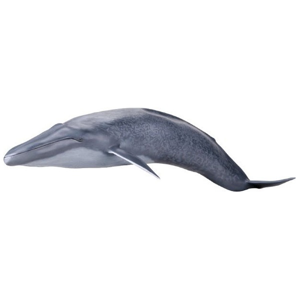 翌日発送メガソフビアドバンス MSA-004 シロナガスクジラ 完成品 フィギュア 海洋堂 生き物