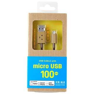 mmicro USBnUSBP[u [dE] i100cmE_{[jCHE-230 [1.0m]