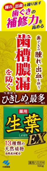 生葉EX 歯磨き粉 薬用 EX 100g 小林製薬｜Kobayashi 通販 