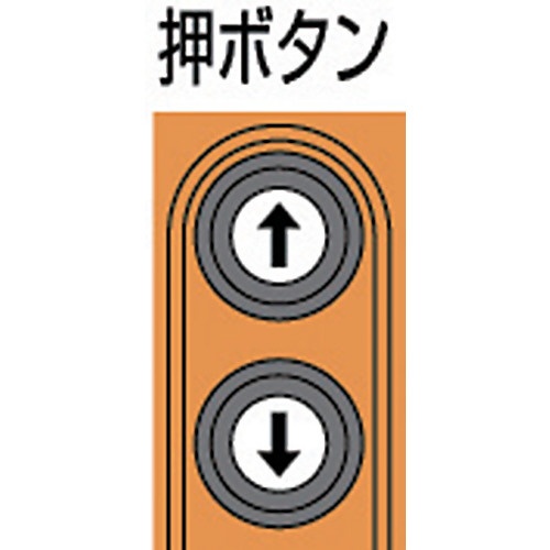 セレクト電気チェーンブロック2速　単相200V100kg（ST）x3m　EDX10ST