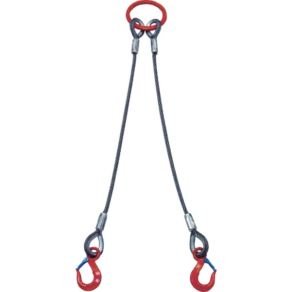 まとめ買い】 大洋 2本吊 ワイヤスリング 1ｔ用×1．5ｍ 2WRS 1TX1.5 吊りクランプ・スリング・荷締機・チェーンスリング 