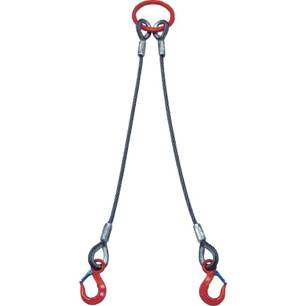2本吊 ワイヤスリング 2t用×1．5m 2WRS 2T×1.5 大洋製器工業｜TAIYO 通販