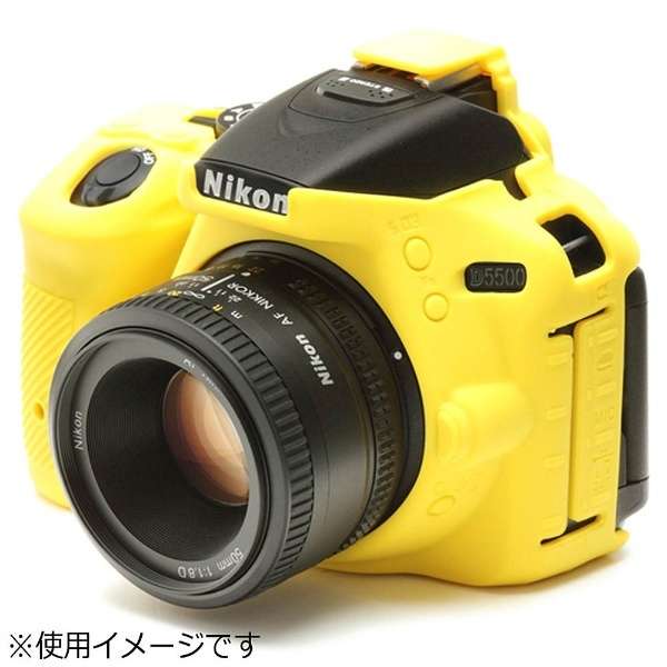 C[W[Jo[ Nikon D5500p CG[_1