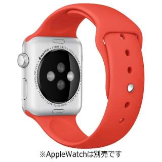 Apple Watch 42mm P[Xp IWX|[coh@MLDK2FE/A