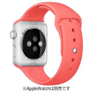 Apple Watch 42mm poh sNX|[coh@MJ4T2FE/A yïׁAOsǂɂԕiEsz