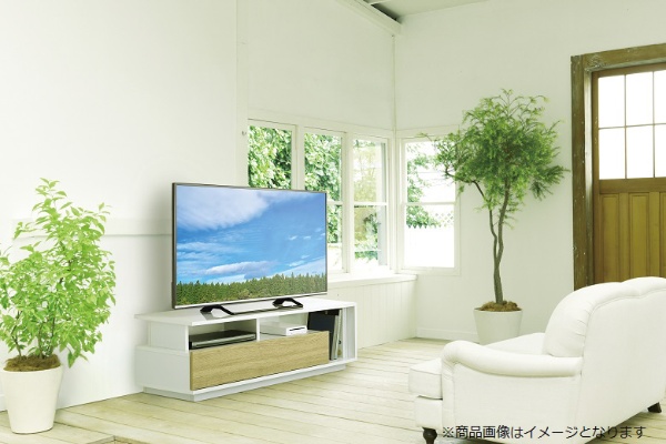 32V～55V型対応テレビ台 TV-EL125W ホワイト